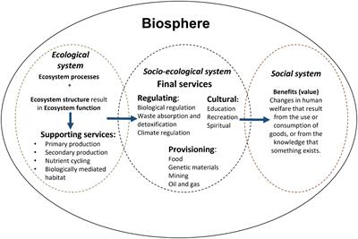 A standardised ecosystem services framework for the deep sea